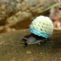 Crocheted Snail Cozy