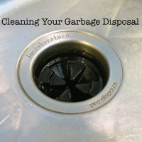 How-To: Clean Your Garbage Disposal