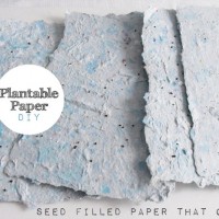 How-To: Plantable Wildflower or Herb Paper