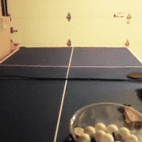 Practice Your Service Return With This Arduino-Powered Automatic Ping-Pong Ball Machine