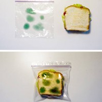 How-To: Anti-Theft Lunch Bags