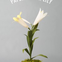 How-To: Pretty Paper Easter Lily