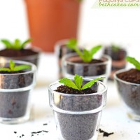 How-To: Chocolate Dirt Pudding Cups