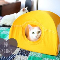 How-To: Cat Tent from a T-Shirt