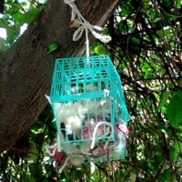 How-To: Homemade Bird’s Nest Fiber Dispenser