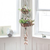 How-To: Hanging Succulent Garden