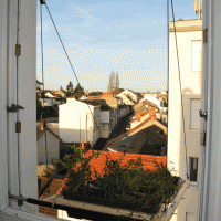 A Retractable Window Garden