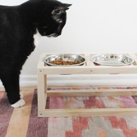 How-To: Modern Wooden Pet Bowl Stand