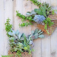 How-To: Pocket Wall Planter