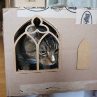 How-To: Blinged Out Cardboard Cat Fort