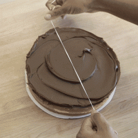 Efficient Cake Cutting Techniques