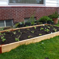 Flashback: Build Your Own Raised Garden Bed