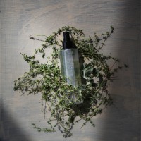 How-To: Homemade Natural Bug Spray