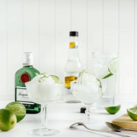 How-To: Gin and Tonic Sorbet