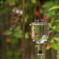 How-To: Tequila Bottle Hummingbird Feeder