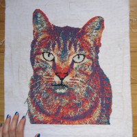 Rainbow Cat Embroidery