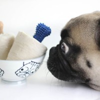 Recipe: Ice Pops for Your Pup