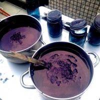 Indigo Fermentation Workshop