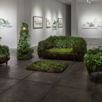 “Living Room” Furniture Made From Live Plants