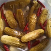 Making Crispy Traditional Pickles Like a (c)Rockstar