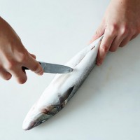 Do You Know How To Gut A Fish?