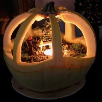 DIY Miniature Pumpkin Garden