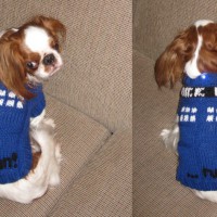 Flora-Powered TARDIS Dog Costume