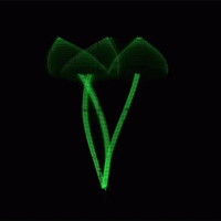 How To Draw Dancing Mushrooms With An Oscilloscope