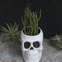 DIY Skull Planter