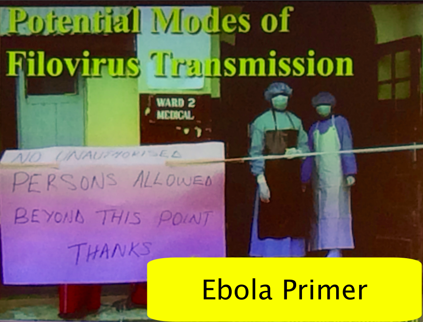 Makers Against Ebola – The Virus