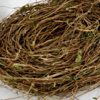 Basket Weaving 101: How To Weave A Basket With Honeysuckle