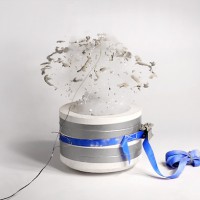 Ceramics Made From Controlled Explosions