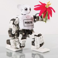 From The Gift Guide: Robots For Everyone!
