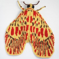 Max Alexander’s Knitted Moths