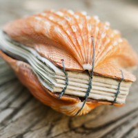 Artist’s Book Made From Seashells