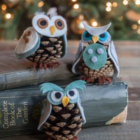 How-To: Pinecone Owls