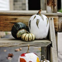 How-To: Foliage Decoupaged Pumpkins