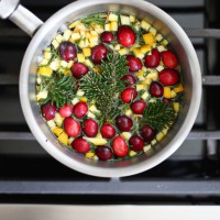 How-To: Evergreen and Cinnamon Stove Simmer