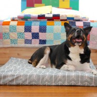 DIY Custom Dog Bed