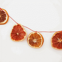 How-To: Citrus Garland