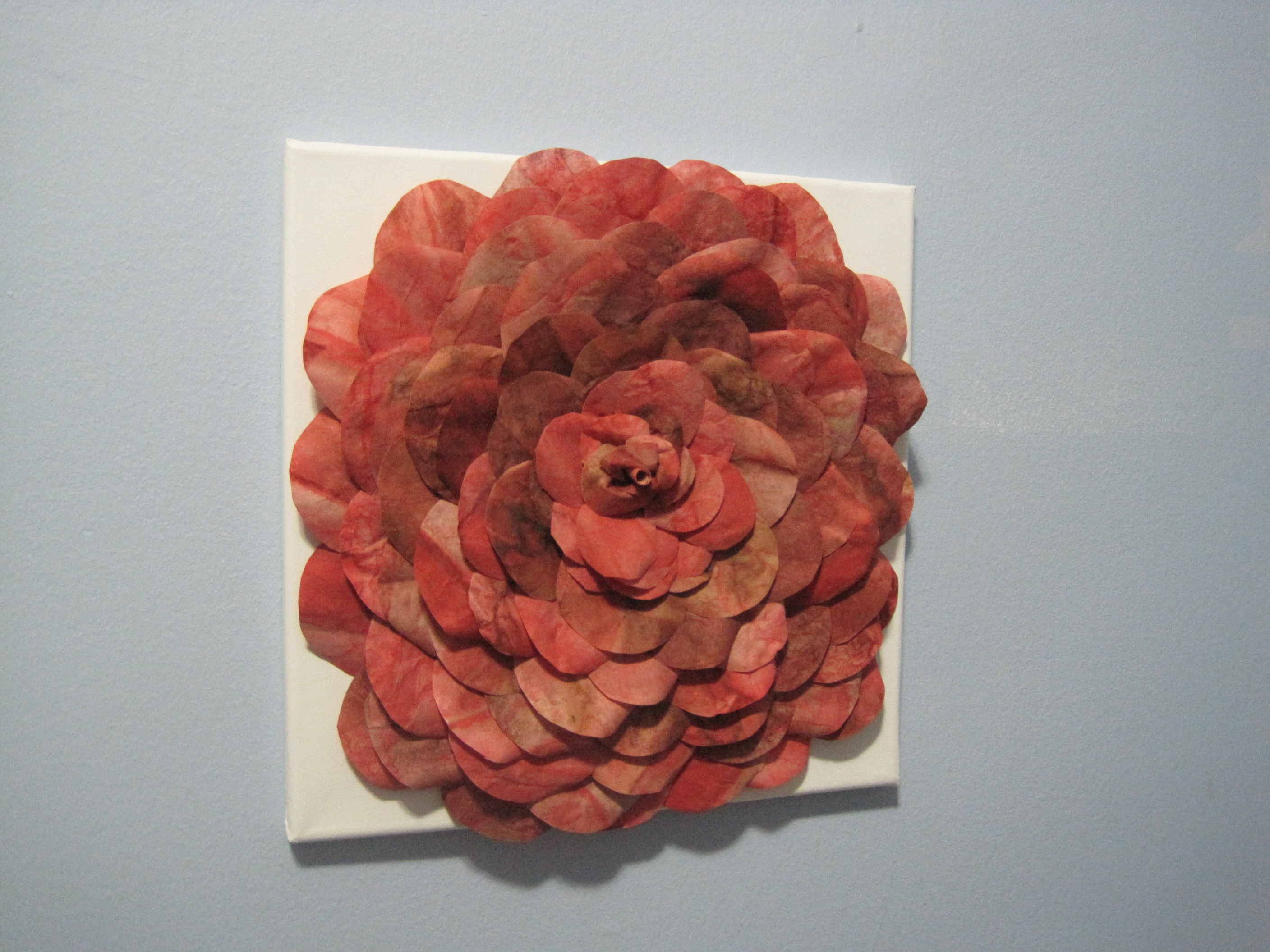 Turn Used Coffee Filters Into Beautiful Flowers