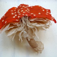 Mushroom Book Sculptures That Appear To Grow From The Walls