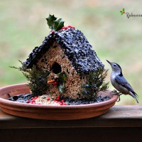 How-To: Gingerbread House Style Bird Feeder