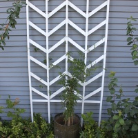 How-To: Chevron Garden Trellis