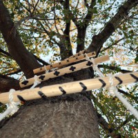 How-To: Rope and Wood Tree Ladder