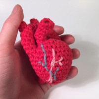 Be Still My Crocheted Anatomical Heart