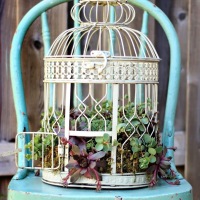 Turn An Old Birdcage Into An Ornate Succulent Planter
