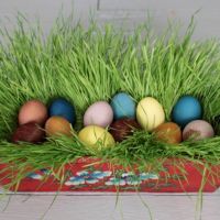Naturally Dyed Eggs: A Lesson in Slow Crafting