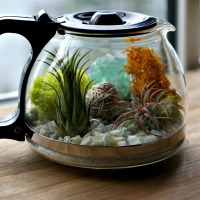 Pour Yourself A Cup Of Home Decor With This Coffee Pot Terrarium