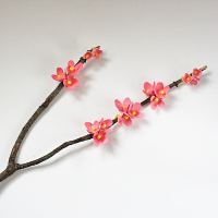 How-To: Egg Carton Cherry Blossom Branch